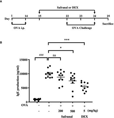 Safranal Alleviated OVA-Induced Asthma Model and Inhibits Mast Cell Activation